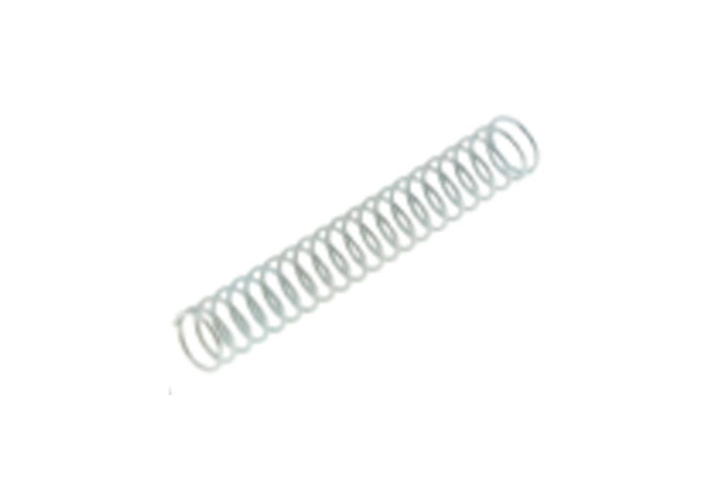 BSM brake pump's spring