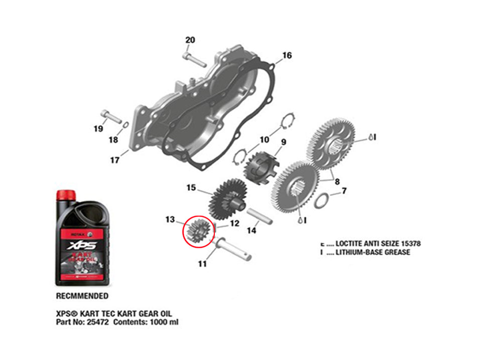 WATER PUMP PINION 16T FR ( 829 )