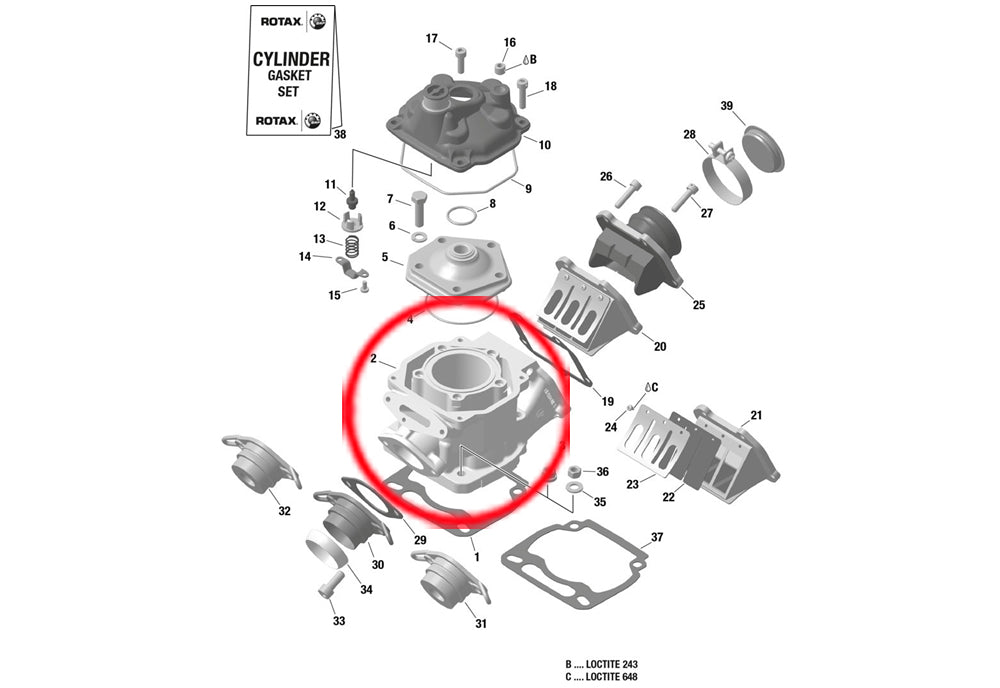 CYLINDER NIKASIL 125cc ROTAX JUNIOR 2024 +