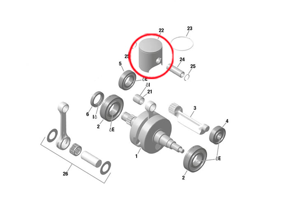 PISTON ROTAX 53.93 ( 1254 )