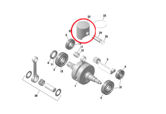 PISTON ROTAX 53.93 ( 1254 )