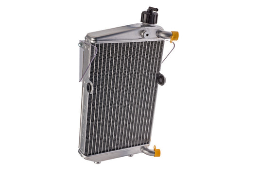 DD2 RADIATOR ASSY. W/WINDSHEILD (NEW MOD.) ( 1275 )
