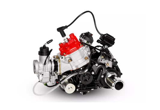 DD2 Rotax engine kit